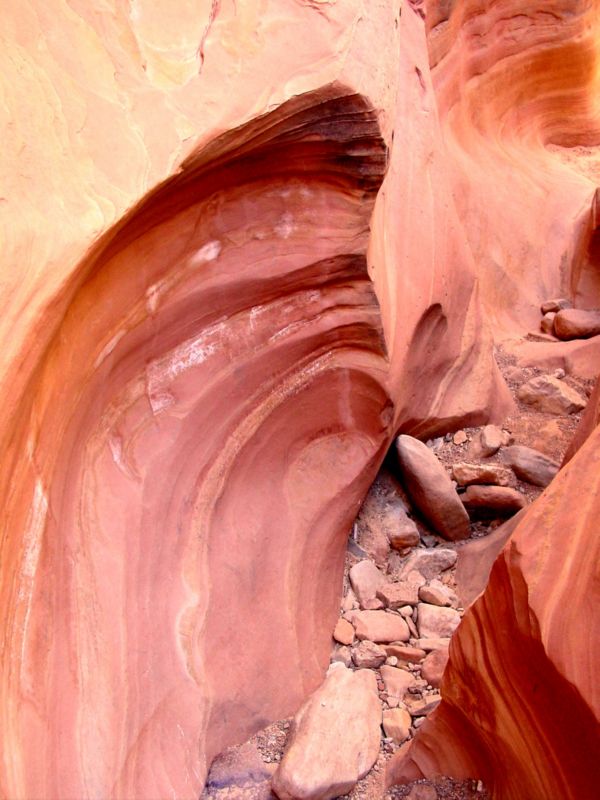 04160302LittleWildHorse (1037)